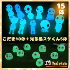 ⭐️ソルティ⭐️٩(๑❛ᴗ❛๑)۶様 リクエスト 2点 まとめ商品