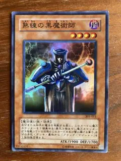 熟練の白.黒魔術師 （303.スーパー） - メルカリ