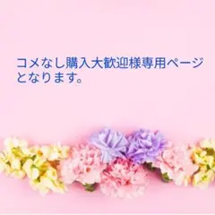 コメなし購入大歓迎様専用ページとなります。