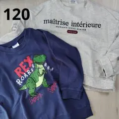 Item thumbnail for item 40aa8df8-c002-4f6b-bccb-a688aa1b62ca