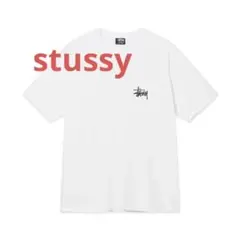 STUSSY ステューシー 両面プリント ビッグロゴ ショーンフォント Tシャツ