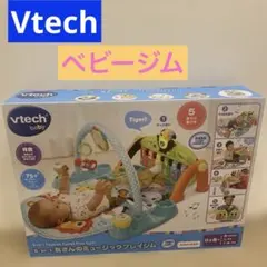 Vtech 鳥さんのミュージックプレイジム/ベビージム※動作確認済　0歳〜