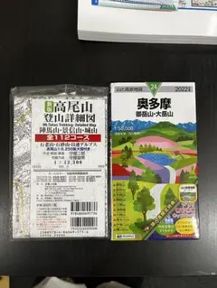 Item thumbnail for item f558fb66-771c-4337-83d2-65a8d522e7a7