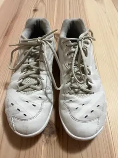 Item thumbnail for item 4ef7d494-a30e-4630-8c30-4a9ffc9351b5