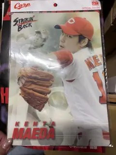 雑誌　下敷き　マエケン　前田健太　カープ