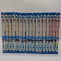 Mr.釣りどれん 全17巻セット とだ勝之 - メルカリ