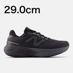 ニューバランスFresh Foam X 880v15 GORE-TEX 29cm