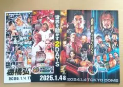 2026年最新】新日本プロレス パンフレットの人気アイテム - メルカリ