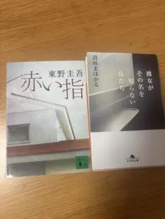 赤い指 東野圭吾 彼女がその名を知らない鳥たち 沼田まほかる
