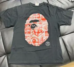 Item thumbnail for item 103bae80-d76b-40a1-ba0b-94eb6f354ffc