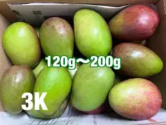 摘果青マンゴー（120g〜200g）3K - メルカリ