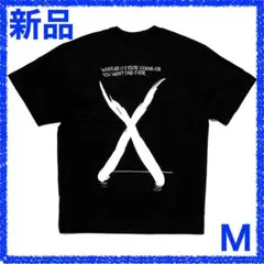 シュプリームノースフェイスコラボショートスリーブTシャツM se1376r