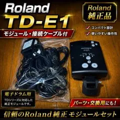 電池交換済・動作品】Roland D-110 マルチティンバー音源モジュール