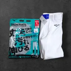 【人気・新品未使用】ミズノ GACHIパンツ L 白 12JD9F6701 防汚