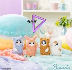 モフサンド 干支　うさぎにゃん ぬいぐるみ 3種類セット mofusand モフサンド 干支 うさぎにゃん ぬいぐるみ 3種類セット