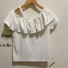 Item thumbnail for item f48d0552-c13d-4f36-8997-f990c0cd9887