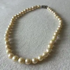 パールネックレス 箱付き フォーマル 冠婚葬祭 上品デザイン 入学式 卒業式
