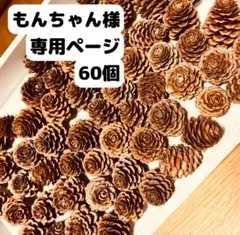 もんちゃん様　専用