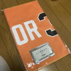 Item thumbnail for item cfbda0b0-746c-432f-aabb-96abff8acbc4