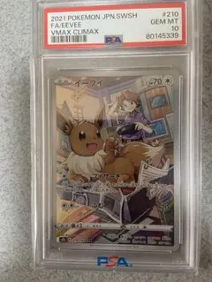 2026年最新】イーブイ psa10 chrの人気アイテム - メルカリ