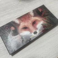 PERFECT DIARY エクスプローラアイシャドウパレット13 REDFOX