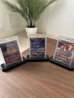 スイクンV、エンテイV、ライコウV SAR 三犬