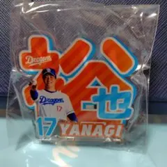 中日ドラゴンズガチャ　アクリルネームバッチ　17 柳　裕也選手