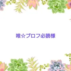 唯☆プロフ必読様 リクエスト 3点 まとめ商品