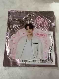 DOMUNDI James アクリルキーホルダー