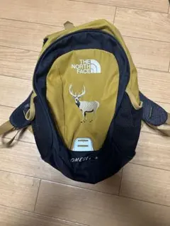 THE NORTH FACE Homeslice キッズ リュック