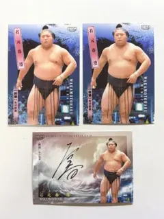 Item thumbnail for item 6809a8a5-144a-4b0f-b23f-8b61fe233151