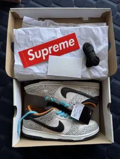 新品Nike SB Dunk Low Pro Electric Safari28