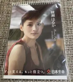 Item thumbnail for item d6b0bb54-0a6d-479e-b353-47ad887326d0