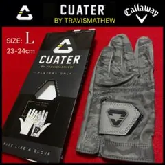 Item thumbnail for item 8dde035c-d056-4c1b-9522-ecbcf9111a64