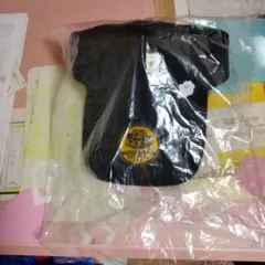 ぽこあポケモンオリジナルキャップ