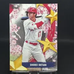 Item thumbnail for item e744c88d-a84e-41ba-b999-1dd27e620827