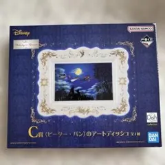 一番くじ ディズニー ピーター・パン アートディッシュ C賞のサムネイル