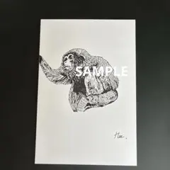 猿 ペン画 イラスト アート