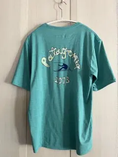 Patagonia ターコイズ Tシャツ