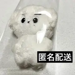 THE BOYZ ヨンフン ぬいぐるみ 설빵 ドボイズ　ドボ Qoo10] THE BOYZ ドボイズ ヨンフン ぬ
