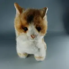 Item thumbnail for item 038be279-ea68-4d99-b631-30423afaf817