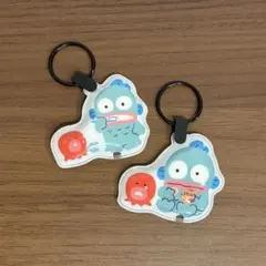 ハンギョドン アクリルキーホルダー 2種セットのサムネイル