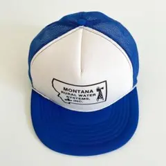 Item thumbnail for item 37e15f11-d64a-480c-85ff-bfe871b74a28