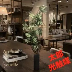 光触媒　人工観葉植物　ウォールグリーン　フェイクグリーン　フェニックス10560 光触媒 人工観葉植物 ウォールグリーン フェイクグリーン フェニックス