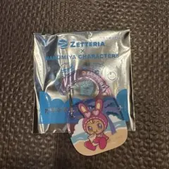 ZETTERIA × NARUMIYA アクリルキーホルダー