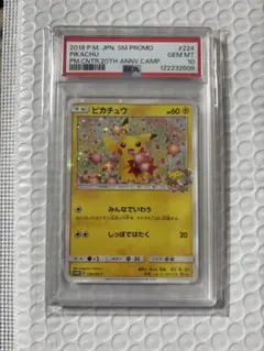 2026年最新】ピカチュウ 20th psa10の人気アイテム - メルカリ