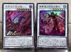 2026年最新】黒薔薇の破滅竜の人気アイテム - メルカリ