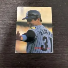 1973 年 カルビープロ野球カード 田淵幸一 阪神タイガース 73 - メルカリ