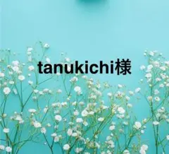 tanukichi様専用出品になります。