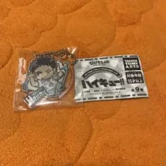 ぴた！でふぉめ ハイキュー!!アクリルキーホルダーVol.2 岩泉一